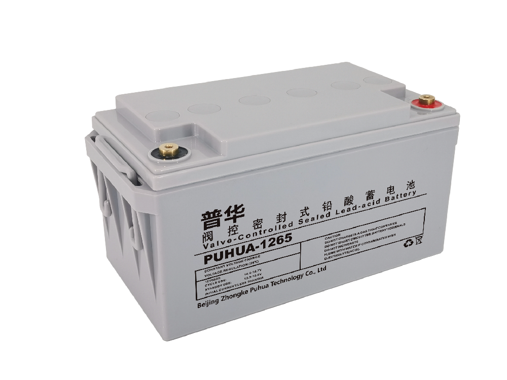 PUHUA-12V65AH 铅酸蓄电池